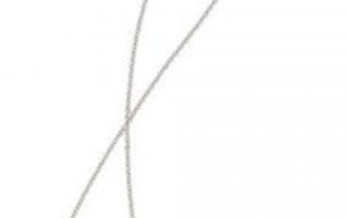 55017: Diamond, Platinum Necklace, Tiffany & Co. The