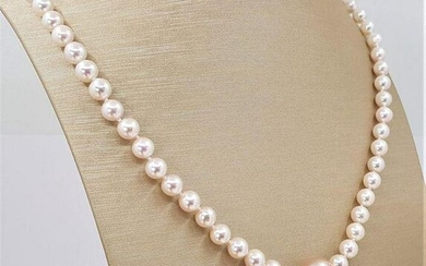 6x12mm Edison and Akoya pearls - Necklace