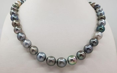 8.5x12mm Multi Coloured Tahitian Pearls - 14 kt. White