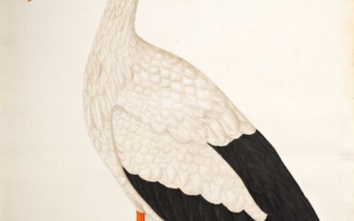 A White Stork (Ciconia Ciconia) in a Landscape, Company School, Lucknow, circa 1800