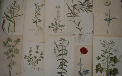 A collection of mainly early 18th century floral and...