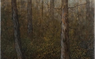 Adam Nudelman (1967 - ) - Cradle Mountain Forest, 2012 54 x 70 cm