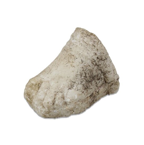 Ancient Roman Marble Foot of an infant - 70×80×0 mm - (1)
