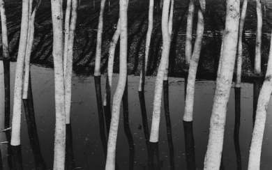 Brett Weston, (1911-1993)
