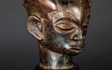Bust (1) - Wood - Congo DRC - 1st half 20th century