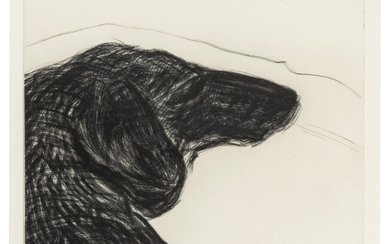 DAVID HOCKNEY (B. 1937) Dog Wall: One Plate