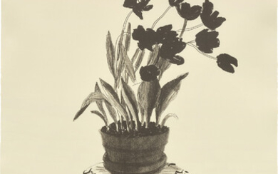 David Hockney, Black Tulips (T.G. 258; M.C.A.T. 236)
