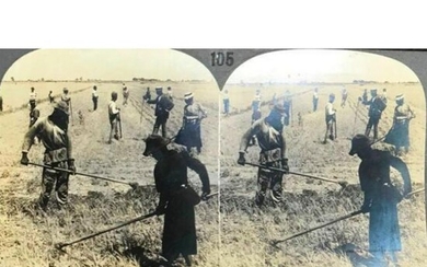 Early 1900's Keystone Stereoview, Hoeing Rice, South