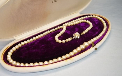 Hochzeitskette J.Köhle Pforzheim - 14 kt. Akoya pearls, White gold - Necklace - 115.00 ct white Akoya cultured pearls
