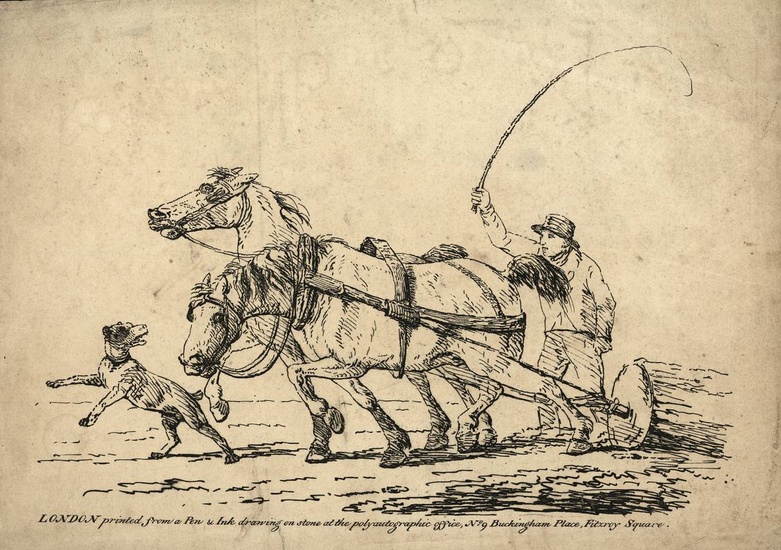 [Lithography]. Anonymous (early 19th cent.). (Two horses dragging a tree)....