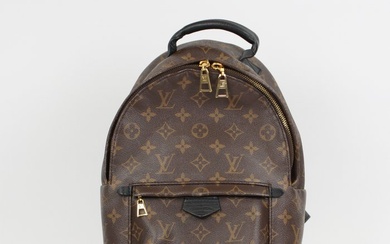 Louis Vuitton - Palm Springs Backpack Mini - Bag
