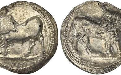 Lucania, Sybaris, Stater, ca. 550-510 BC AR (g 8,16; mm...