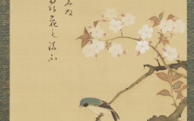 MORIMURA HOGI (1805-1862) Small Bird on Cherry Blossom Branch