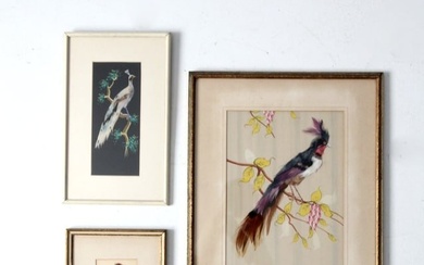 Mid-Century Bird Feather Art Collection