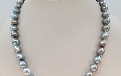 NO RESERVE - 8x11mm Pastel Multi Coloured Tahitian Pearls - 14 kt. White gold - Necklace