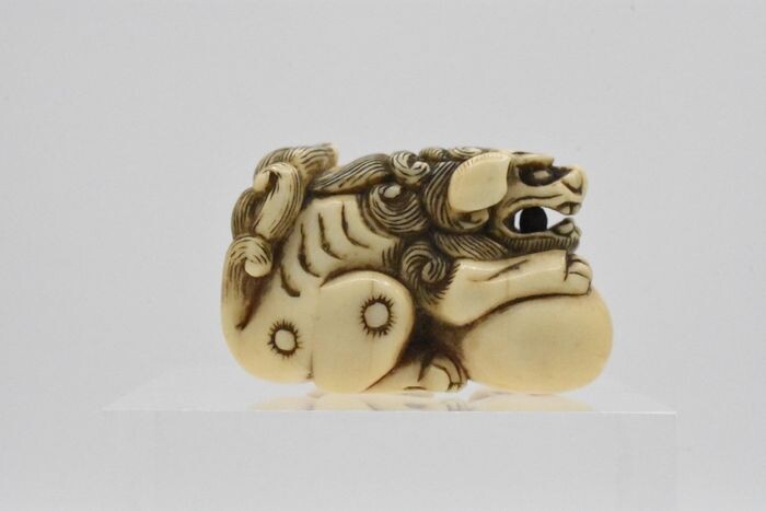 Netsuke - Ivory - Shishi 獅子 with its paw on a tama 玉 (sacred Buddhist jewel) - Japan - Edo Period (1600-1868)