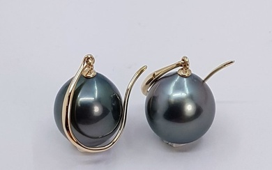 No Reserve Price - 10x11mm Peacock Tahitian Pearl Drops - Earrings - 14 kt. Yellow gold
