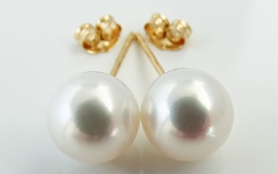 No Reserve Price - Akoya Pearls, Round 8,5 -9 mm - 18 kt. Yellow gold - Earrings