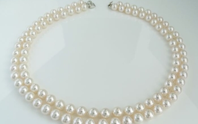 No Reserve Price - Akoya pearls, Premium 8 -8.5 mm - Necklace, Double-2-Strand, 14 kt. White Gold