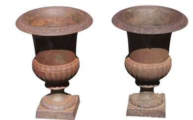 Pair of cast iron classical form urns