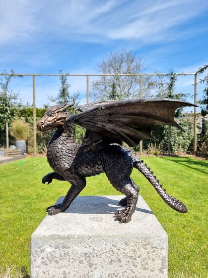 Picture - Dragon - Patinated bronze - recent