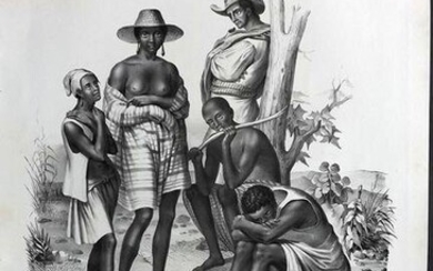 Schinz & Brodtmann C1840 Print. Neger aus Verschiedenen Stammen, West Indies? 15