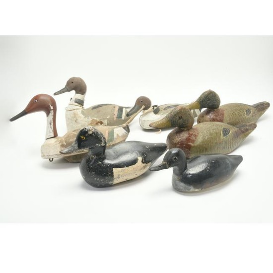 Seven Painted Wood and Carved Back Duck Decoys, Several