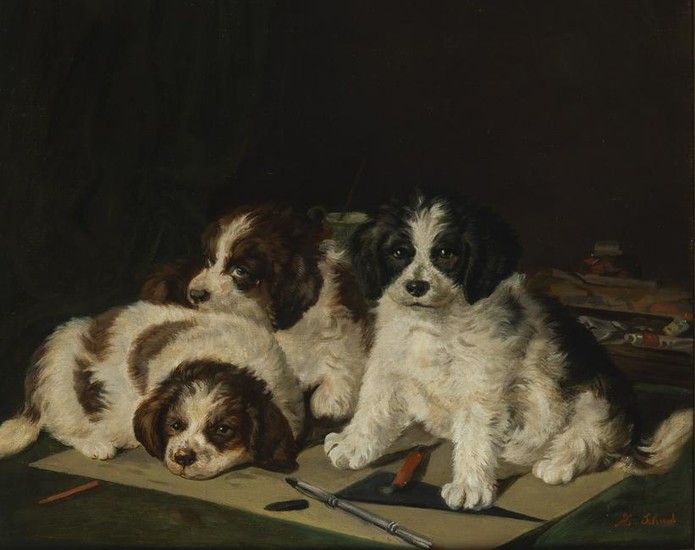 Three puppies