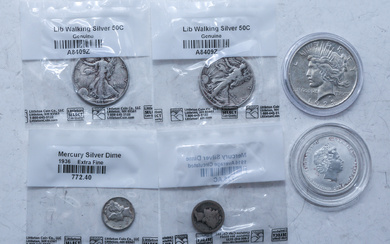 U.S. & World Silver Coins