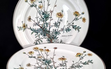 Villeroy & Boch - Table service - Botanica 6 x dinner plates approx. 27cm - Porcelain
