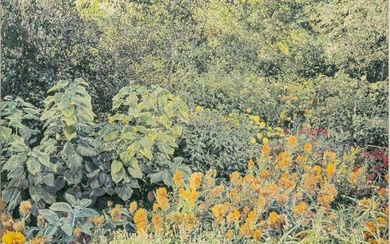 William Nichols (American, B. 1942) Acrylic on Canvas 1980, Whitnall Park H 53" W 77"