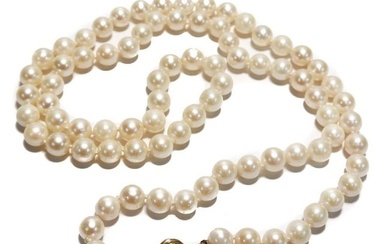 14k Yellow Gold Cultured Pearl Single Strand Necklace