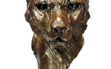 Dylan Lewis (b. 1964), Cheetah head I