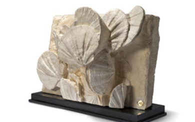 A PLAQUE OF FOSSILIZED SCALLOPS, SOUTHERN FRANCE