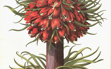 A pair of decorative botanical prints