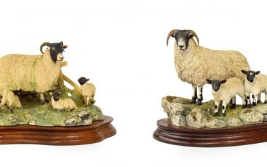 Border Fine Arts 'Blackie Ewe and Lambs', model No. B0887,...