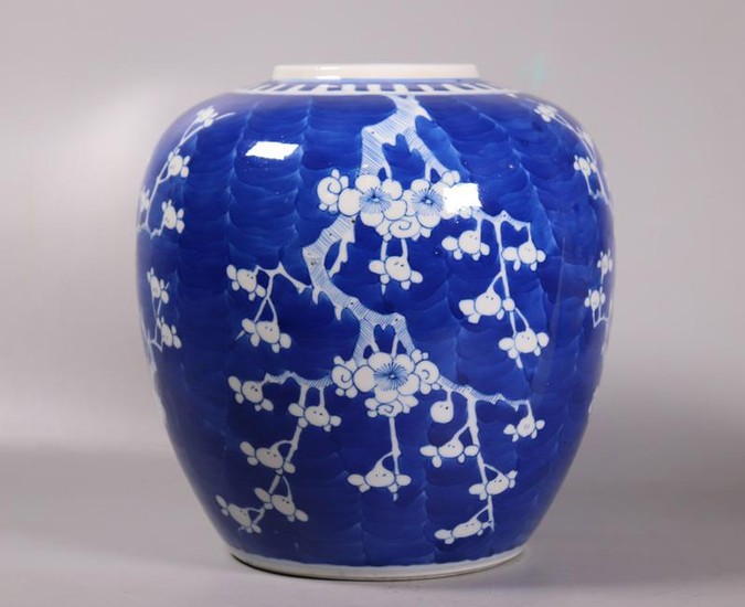 Chinese Blue & White Porcelain Hawthorn Ginger Jar
