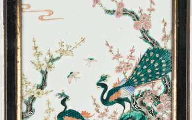 Chinese Famille Rose Framed Porcelain Plaque, Birds of Paradise