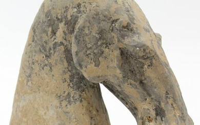 Early Han Dynasty Terracotta Horse Head