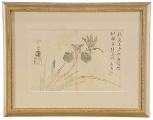 Japanese Print of Dragonfly on Iris
