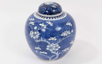 Late 19th century Chinese blue and white porcelain ginger jar