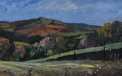 *Local Interest - D.Whitehead (20th Century, British), oil on board, 'Valley of Desolation'