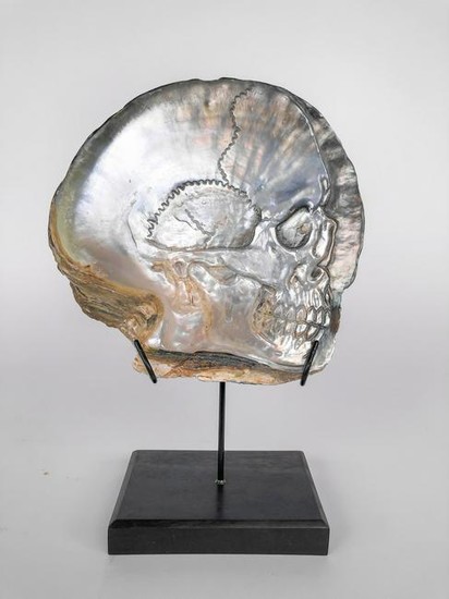 Mother of Pearl Shell with Human Skull Carving