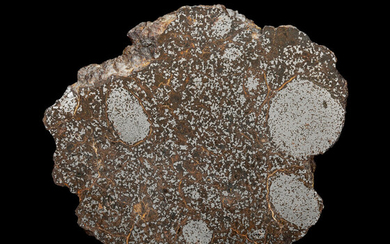 NWA 2932 Meteorite End Cut Mesosiderite Northwest Africa Found:...
