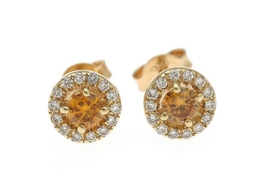 A pair of diamond ear studs each set with a yellow diamond, totalling app. 0.34 ct. encircled by numerous diamonds, mounted in 14k gold. (2)