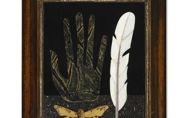 Richard Blow, Untitled (Hand with feather and moth)