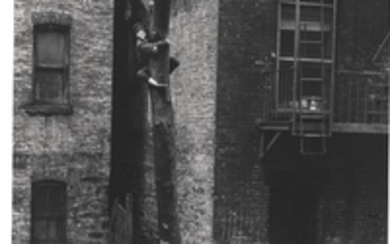 HELEN LEVITT (1913–2009), New York (Two boys, one up a tree), 1938