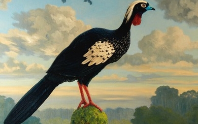 Hughes | Black-fronted Piping-guan, 1998, oil on canvas