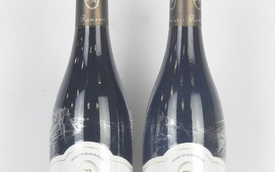 2 bouteilles Chassagne-Montrachet 1er cru Clos Saint Jean 2016 Domaine Bachelet-Ramonet