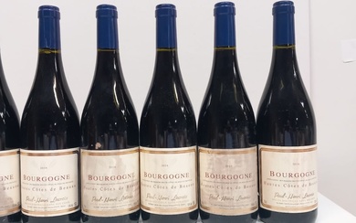 6 bouteilles de Bourgogne Hautes Côtes de Beaune 2018 Paul Henri Lacroix (étiquettes tachées)